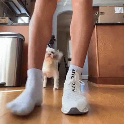 Lift Kicks — demonstratie 2