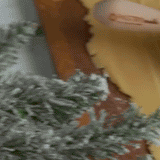 MerryRoller — demonstratie 2