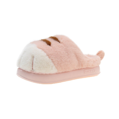 CozyPaws