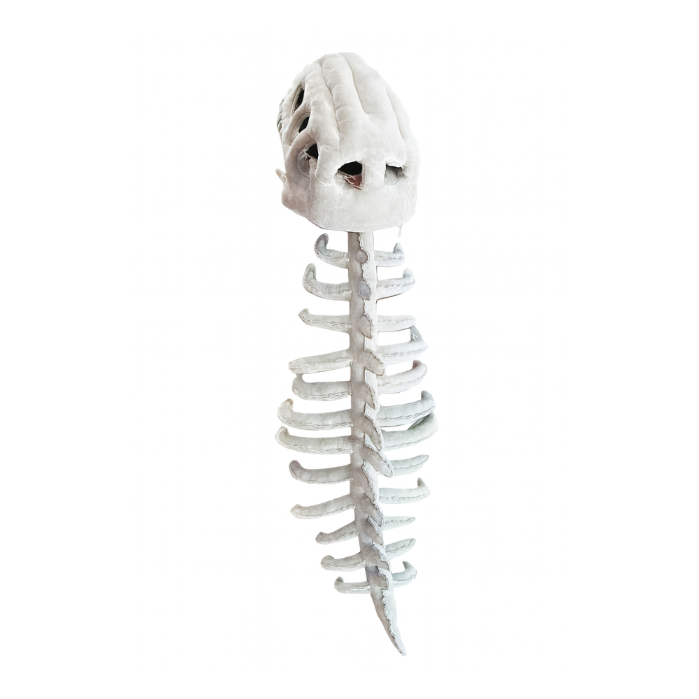 SpineSaur