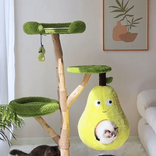 PawPear — demonstratie 1