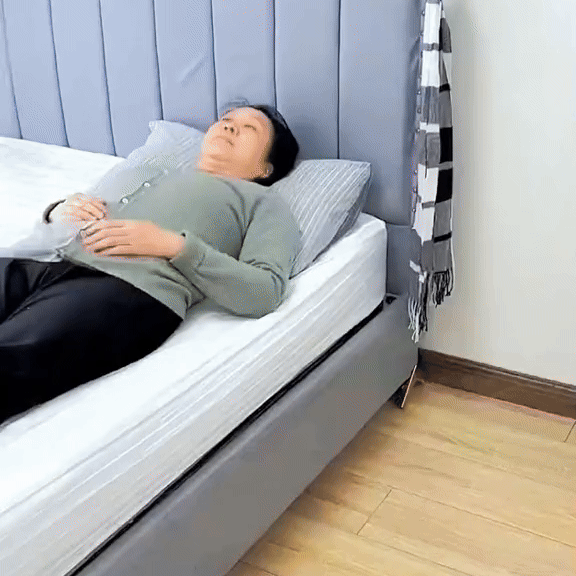 BedGuard — demonstratie 1