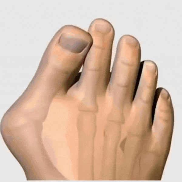 FlexStep — demonstratie 2